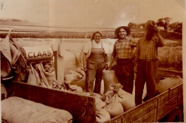 1954 am Mähdrescher v.l. ?, Hr. Liebentritt, J. Göbl 105ME