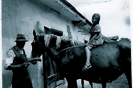 1940er Anni, Andreas Waldher 10HAFN