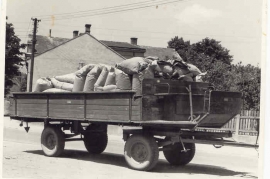 1960er Erntezeit 10HR