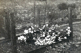 1950er Judengrab vor dem Friedhof jetzt Leichenhalle 124PM