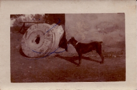 1950er Götz Mühle Mühlstein 132Gö