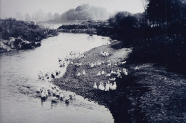 1940er Leithakanal 135AH