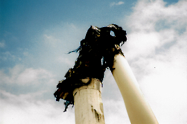 2000 Windpark Zurndorf Brand 13HIWA