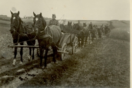 1940er Nachschub 14DM