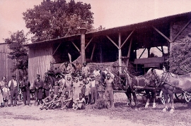 1950er Erntezeit 18WE