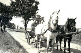 1960 Fam. Weiß in Zurndorf 23MF