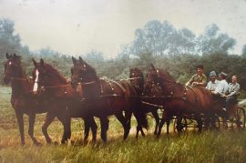 1980  Erste Ausfahrt Fünfspännig Frühlahr A. Liedl, J. Macher, M. Liedl, K. Minarik 19LIAM