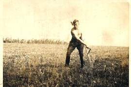 1950 bei der Ernte J. Schmidt 1ST