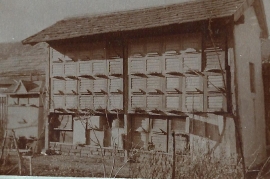 1950er Bienenhütte F. Frank 20HF