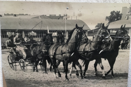 1980 Präsentation des Fünfergespann auf der Wiener Herbstmesse A. Liedl, J. Macher, G. Lambert, K. Minarik  20LIAM