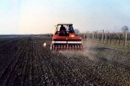 1960er bei der Aussaat 21HR