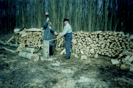 2001 E. Dürr, M. Schmitzhofer beim Holzarbeiten 23DÜF
