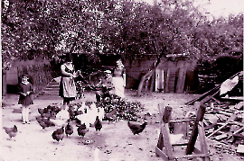 1950er Resch im Hühnerhof 24RE