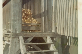 1967 Kukuruz Tschardake 25WS