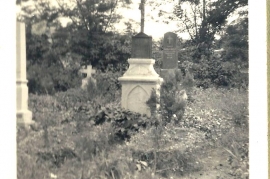 Allerlei