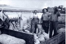 1950er bei der Ernte, ?, Hr. Liebentritt, J. Göbl, 26ME