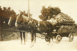 1920 Milchtransport 188PM
