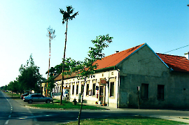 Allerlei