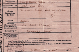 1936 Viehpass Wallach dunkelbraun 2NIA