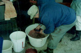 1995 Schweineschlachten W. Macher beim Blut umrühren 37DÜF