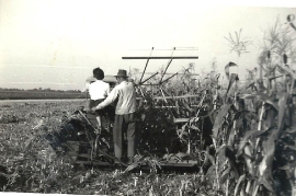 1957 Bindemäher 37MF