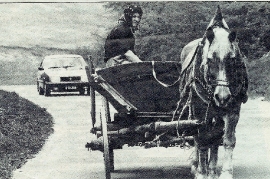 1960 Neudorferin Fr. Tischler, Einspänner Wagen 39MMA