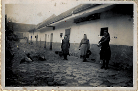 1955 Am Bauernhof Käthe, Oma Weintritt, Theresia Frank 40ZWE