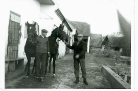 1970er Janosch Macher, M. Meixner 42MMA