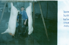 1996 Schweineschlachten  J. Hoffmann (Hans Onkel) 44DÜF