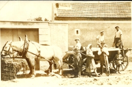 1940er Pferdewagen 40PM