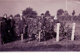 1950er Bei der Weinlese 2.v.l. J. Schmidt 46MIA