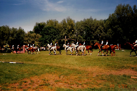 1993 Biotop Eröffnung 478GEZ