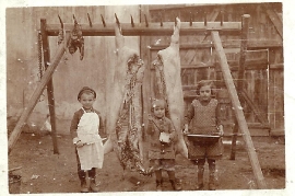 1930er Milleschitz Schweineschlachten 47MP