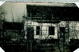 1955 Elternhaus Nestlinger UH 82 4BAUE