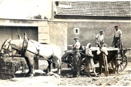 1950er Pferdewagen 53NH