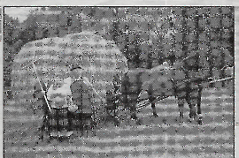 1999 M. Meixner, L. Lambert, G. Lambert 54LAG