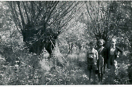 1950er auf der Fischwasser, unbekannt bei den Stockweiden 55PMI