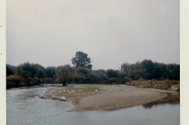 1967 Grozn in der Leitha 62WS