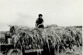 1967 bei der Heuernte 64WS