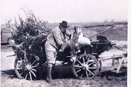 1965 Trappenjagd 7UNGR