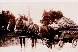 1940er Milchtransport 8WE