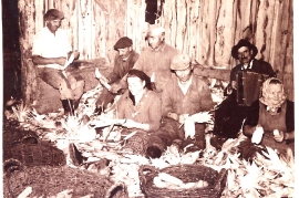 1950er Kukuruz hebeln Meixner Joh. Novak Fritz, Bruckner Rud. Wagner Joh. Fr. Rappold, Wastl Dürnsteiner 99PM