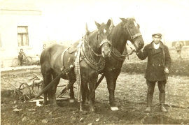 1950 Paul Hiermann OH. 93 / 9PM