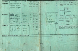 1937 Sippschaftstafel Pschaiden Caroline Seite 1