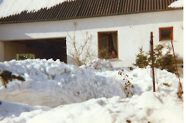 Dorfleben