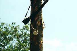 2000 162 Maibaum Gasthaus Prominzer