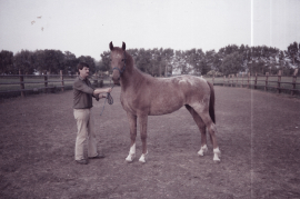 1992 Reitfest G. Lambert jun. 105LAG
