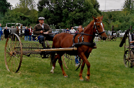 1999 1. Zurndorfer Nostalgiefest Karl Lang am Heurechen 117GEZ