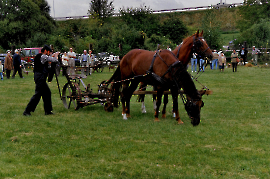 1999 1. Zurndorfer Nostalgiefest Erich Szigeti 120GEZ