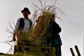 1999 1. Zurndorfer Nostalgiefest Friedrich Meixner 206GEZ